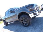 2017 Ford F150 Pic 691_V2025100709104035