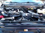 2017 Ford F350 Super Duty Pic 691_V202510090758143