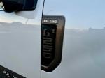 2017 Ford F250 Super Duty Pic 691_V2026020404305153