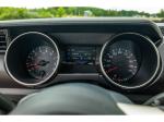 2016 Ford Shelby Gt350 Pic 691_V2026051510112519