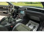 2016 Ford Shelby Gt350 Pic 691_V2026051510112531