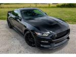 2016 Ford Shelby Gt350 Pic 691_V202605151011254