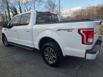 2015 Ford F150 Supercrew Cab Pic 750_V2025112701301500027