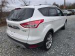 2014 Ford Escape Pic 750_V2025120501302000015