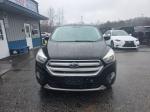 2017 Ford Escape Pic 750_V2025120901301800042