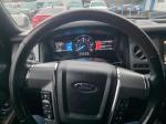 2015 Ford Expedition Pic 750_V20251219013022000215