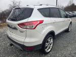 2015 Ford Escape Pic 750_V2026010601303300055