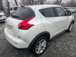 2014 Nissan Juke Pic 750_V2026011001302800015