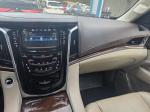 2017 Cadillac Escalade Pic 750_V20260114013007000016