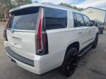 2017 Cadillac Escalade Pic 750_V2026011401300700005