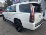 2017 Cadillac Escalade Pic 750_V2026011401300700007