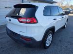 2017 Jeep Cherokee Pic 750_V2026011601301500035
