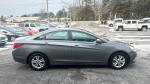 2013 Hyundai Sonata Pic 750_V2026013101304200086