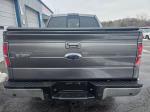 2013 Ford F150 Supercrew Cab Pic 750_V2026020501302700056