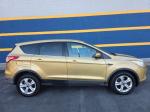 2014 Ford Escape Pic 750_V2026022101304300044