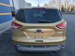 2014 Ford Escape Pic 750_V2026022101304300046