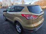 2014 Ford Escape Pic 750_V2026022101304300047