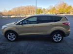 2014 Ford Escape Pic 750_V2026022101304300048