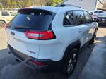 2016 Jeep Cherokee Pic 750_V2026031101343800055