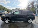 2017 Ford Escape Pic 750_V2026031615300800012
