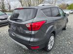 2019 Ford Escape Pic 750_V2026031701301600025
