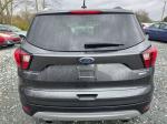2019 Ford Escape Pic 750_V2026031701301600026
