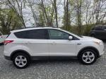 2013 Ford Escape Pic 750_V2026033101300800004