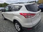 2013 Ford Escape Pic 750_V2026033101300800007
