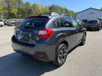 2014 Subaru Xv Crosstrek Pic 750_V2026041020302600085