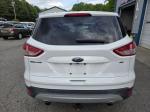 2015 Ford Escape Pic 750_V2026041405005600036