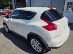 2013 Nissan Juke Pic 750_V2026050101302800067
