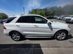 2014 Mercedes-Benz M-Class Pic 750_V2026050520301400014