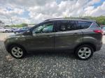 2014 Ford Escape Pic 750_V2026052601301400018