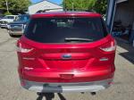 2013 Ford Escape Pic 750_V2026060105001100006