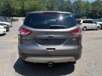 2014 Ford Escape Pic 750_V2026060601302100054