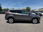 2014 Ford Escape Pic 750_V2026060601302100056