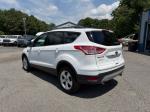 2013 Ford Escape Pic 750_V2026060901303200033