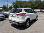 2013 Ford Escape Pic 750_V2026060901303200035