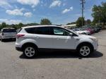 2013 Ford Escape Pic 750_V2026060901303200036