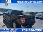 2014 Ford F-150 Pic 86_V202505130952097