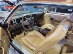 1981 Pontiac Firebird Trans Am
