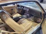 1981 Pontiac Firebird Trans Am