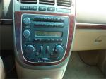 2007 Buick Terraza Cxl thumbnail 13