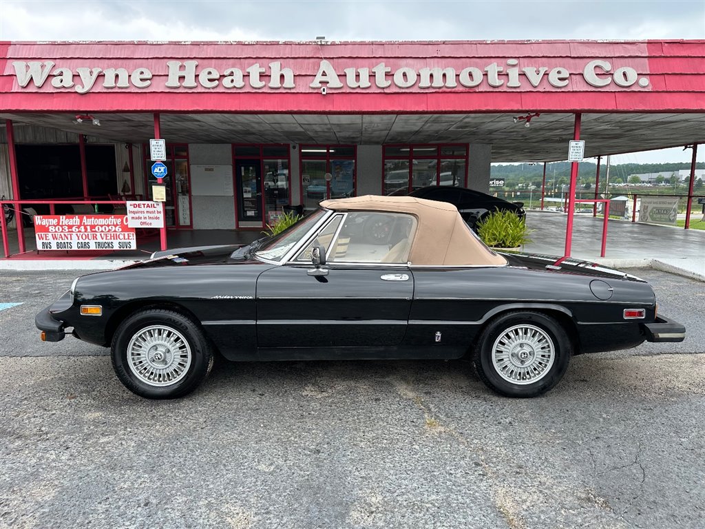 1981 Alfa Romeo Spider Veloce RWD