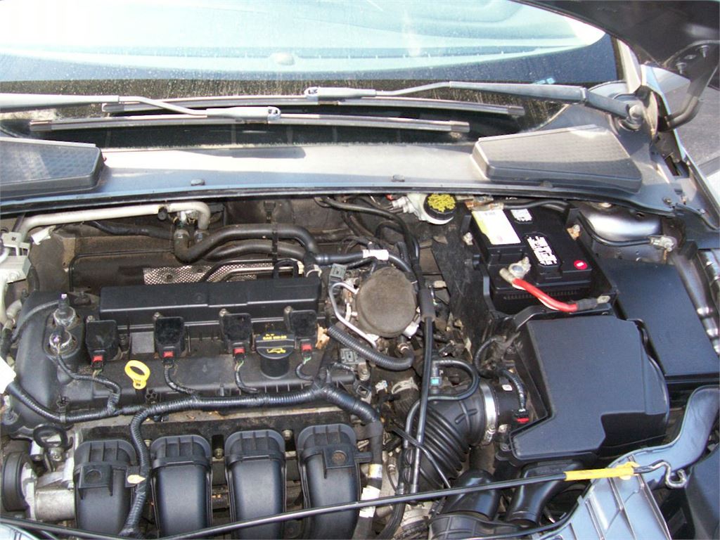 2014 Ford Focus SE photo