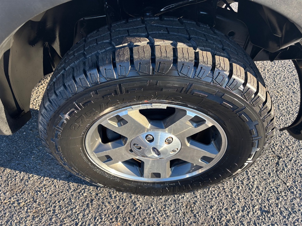 2008 Ford F-150 FX4 photo