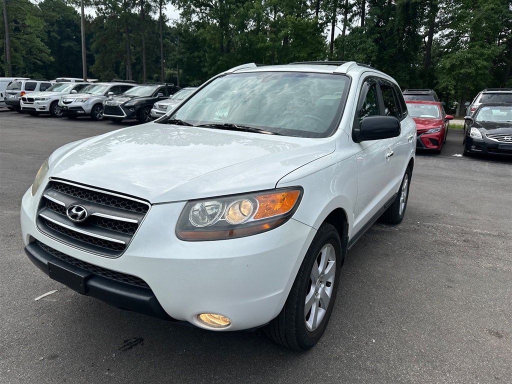 2007 Hyundai Santa Fe SE photo