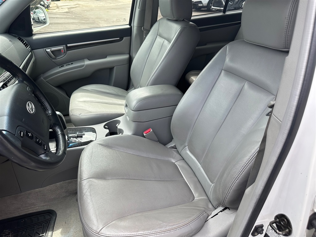 2007 Hyundai Santa Fe SE photo