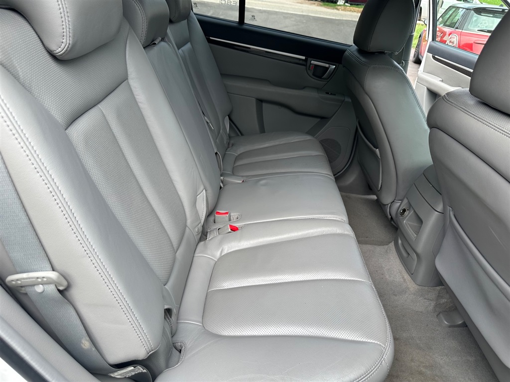 2007 Hyundai Santa Fe SE photo