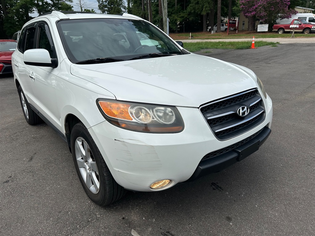 2007 Hyundai Santa Fe SE photo